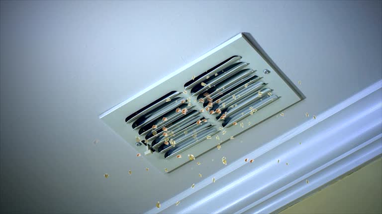 New Whiteland, IN Airduct Cleaning Company