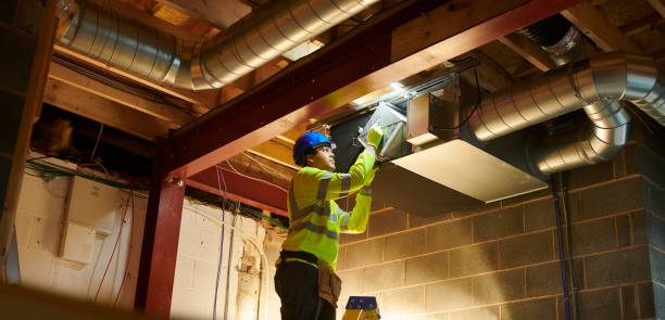 Best Air Duct Sanitizing Services  in New Whiteland, IN