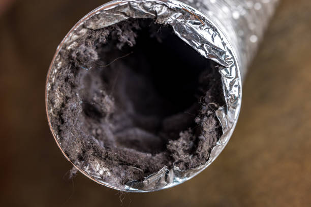  New Whiteland, IN Airduct Cleaning Pros